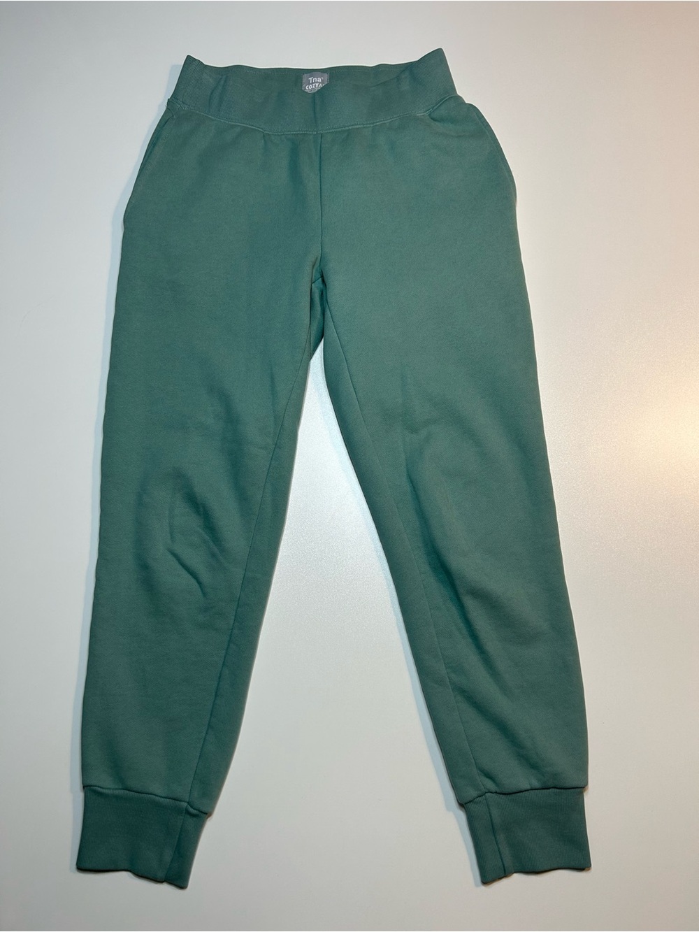 Aritzia Tna Cozy Fleece Boyfriend Jogger Pants Sage Agave Green